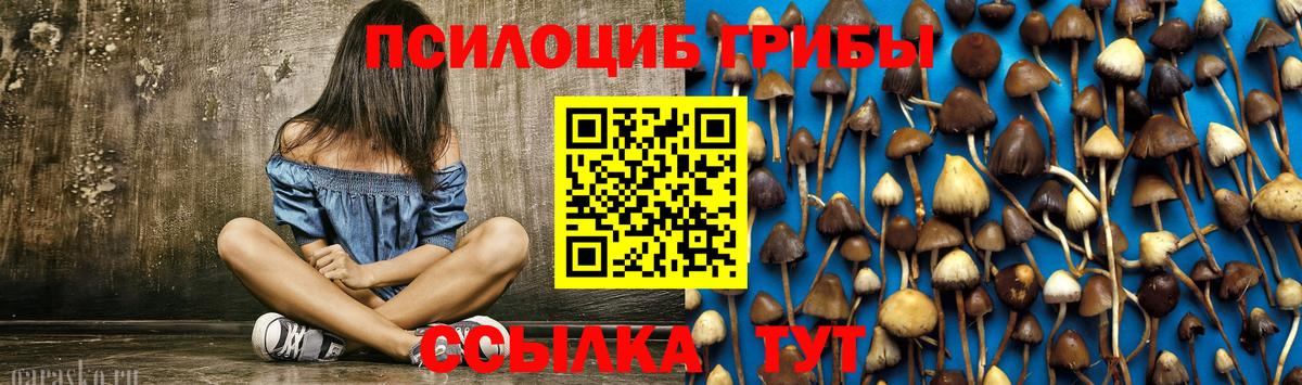 Псилоцибиновые грибы ЛСД Полысаево