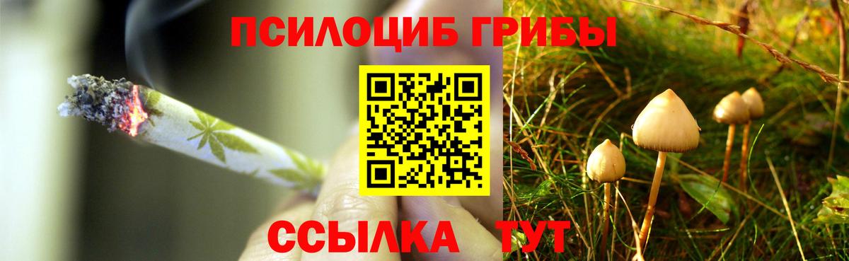 Псилоцибиновые грибы GOLDEN TEACHER  Галлюциногенные грибы Magic Shrooms  Полысаево  даркнет сайт  Вход с VPN 